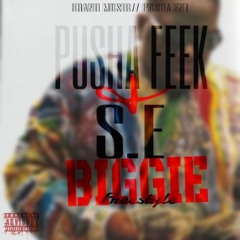 BIGGIE FREESTYLE- FEEK AND SE