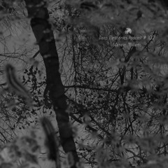 Deep Electronics Podcast # 102 - Meneer Willems