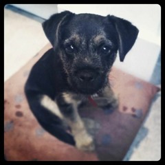 War Of Devotion (demo)