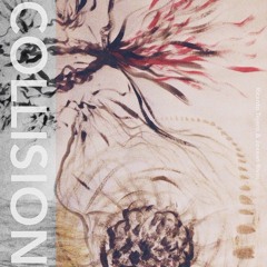 Ricardo Tejero & Joxean Rivas : Collision part I