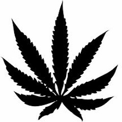 My Weed Song - Soldier B x Hectic