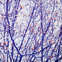 Raw Flakes - April In Paris