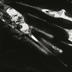 Mekas - Lead (Aula Magna Records 008D)