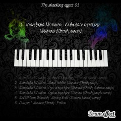 1_Dubplate Machine - Mandinka Warrior (Stevens Kbosh remix) ''The Skanking Effect 01''