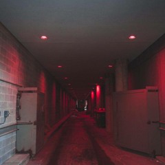 Back From The Cellar