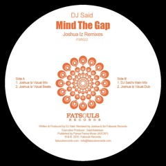 2. DJ Said - Mind The Gap (Joshua Iz Vizual Dub)