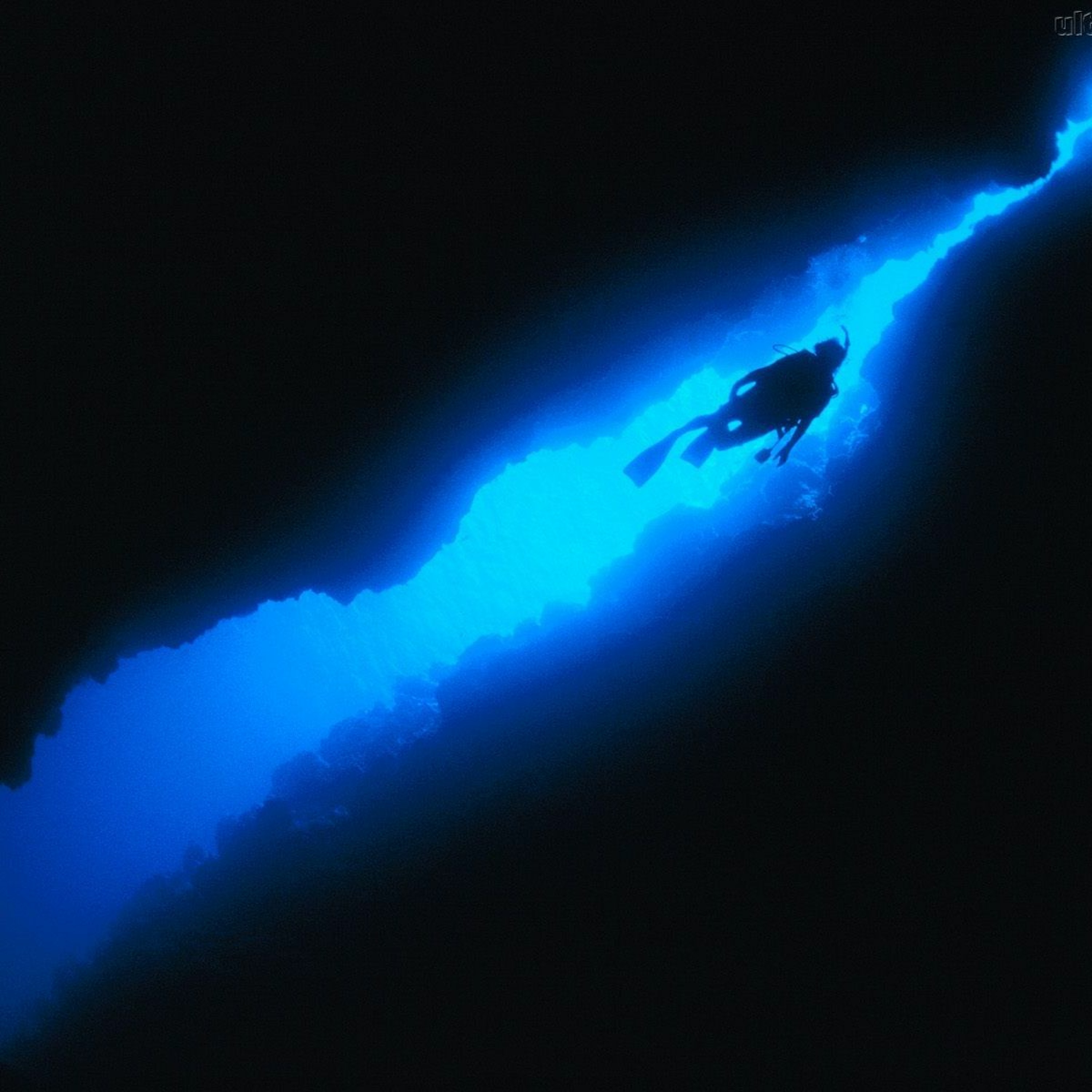 Mergulho episode artwork