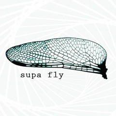 Supa Fly