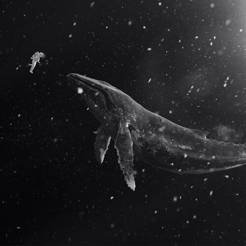 EXO - 脚印 (On the Snow)