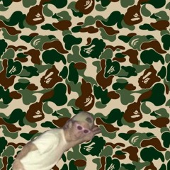 PROD [J. WAR] - shanghai female (EXTENDED)