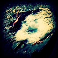 suicide's note [written by langston hughes]