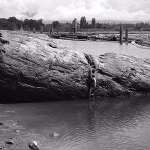 ooO((loscil++ishq))Ooo