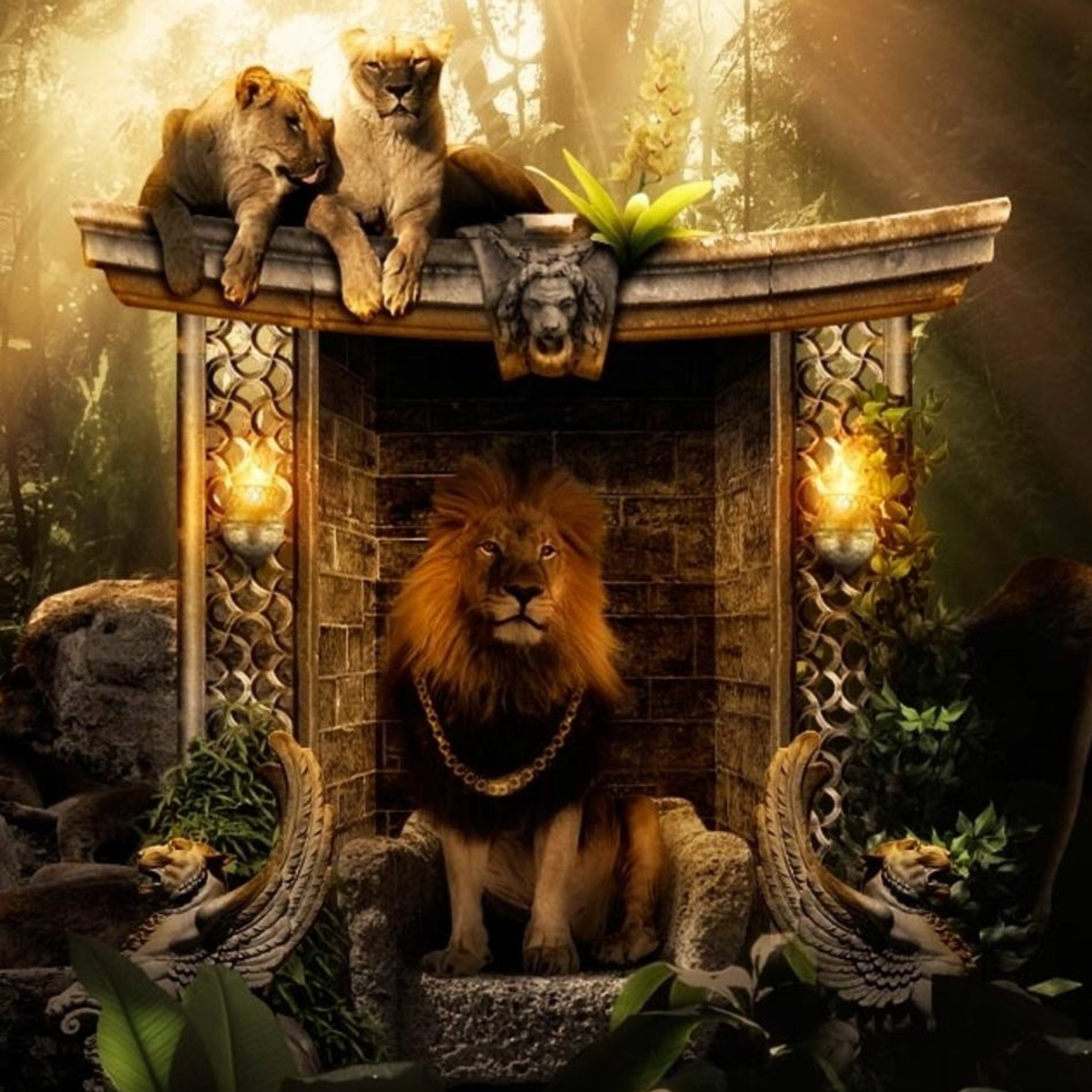 Jungle episode artwork