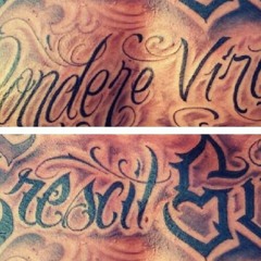 The Heavy - Short Change Hero (Benny M Vs Coinsalmon) - (Remix)