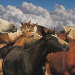 Splint & Waxing (Why? Mix)