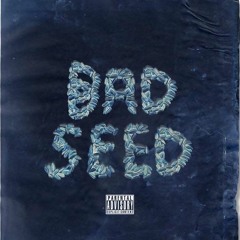 Bad Seed (prod. strscrm)