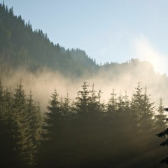 Feki - Remember (A.M Bootleg)