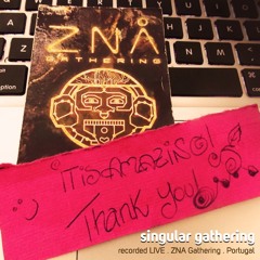 singular gathering . ZNA Gathering (short version)