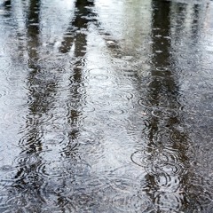Rain - Ambisonics sound effects library