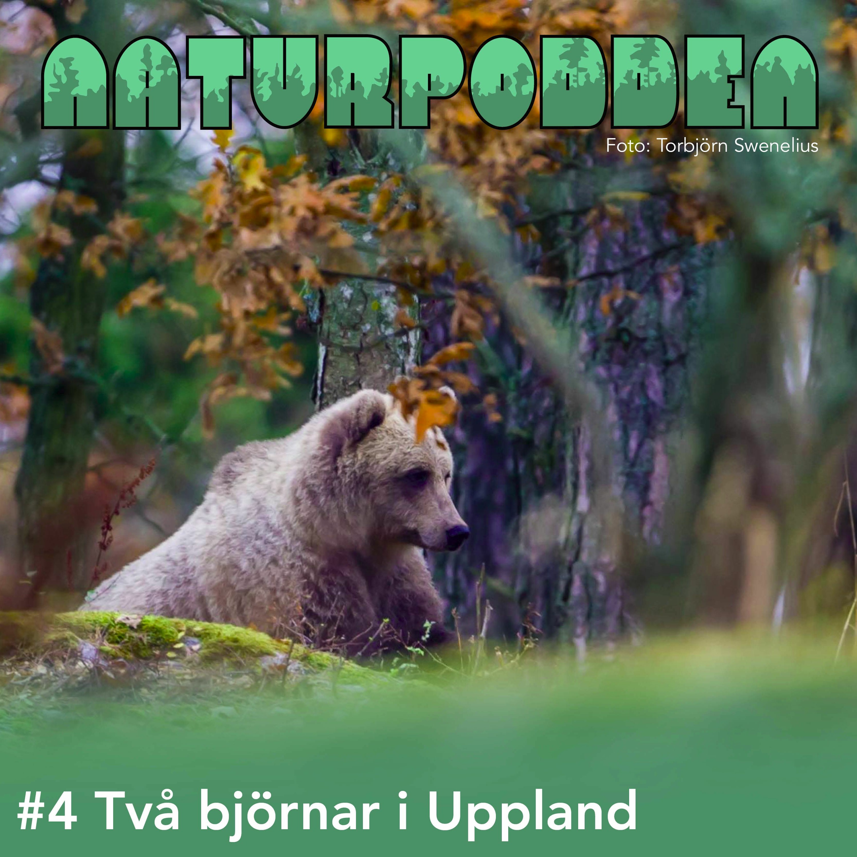 Naturpodden - Producerad av Biotopia