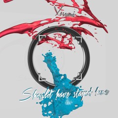 Should Have Stayed Home EP