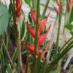 Love Connection // e-gypt