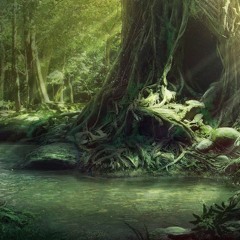 *D&D Forest Ambient* Everlasting Wanderer (Prod. Str8kdt)