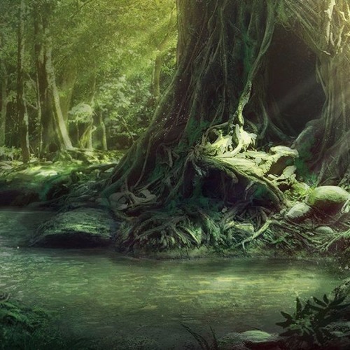 *D&D Forest Ambient* Everlasting Wanderer (Prod. Str8kdt)