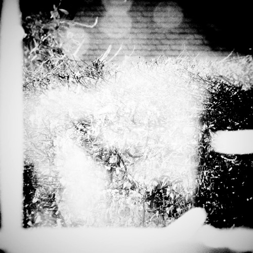 LINEAR BELLS  'Field of fury'