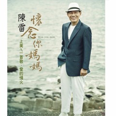 陳雷-愛的情火