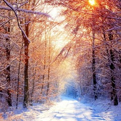 Winter 2015