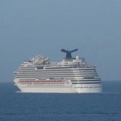 Cruise 2