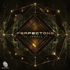 PerfecTone - Use Acid