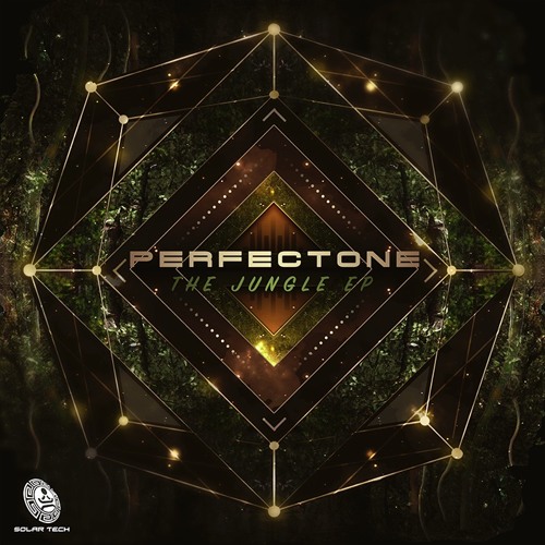 PerfecTone - Use Acid