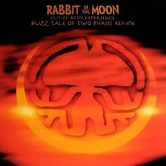 Rabbit in the Moon-Out Of Body Experiance(Buzz Tale Of Two Phases Remix)