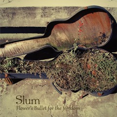 Flowers' bullets for the freedom