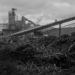 06 - A Cada Passo...