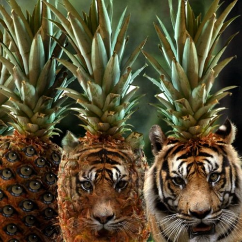 VICEROY x TRAVISWILD Mini Mix - Benny Benassi & Friends (iHeartRadio)
