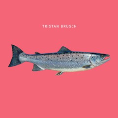 Tristan Brusch - Fisch (Äh, Dings Remix)