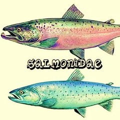 Salmonidae