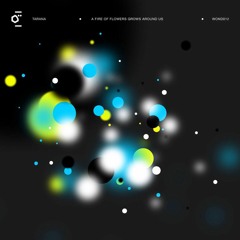 [WOND012] Tarana - A Fire Of Flowers Grows Around Us - 07 Nanatronic