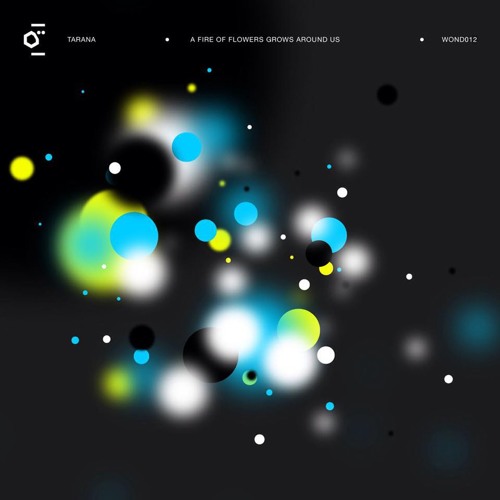 [WOND012] Tarana - A Fire Of Flowers Grows Around Us - 07 Nanatronic
