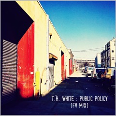 T.H. White : Public Policy (FV Mix)
