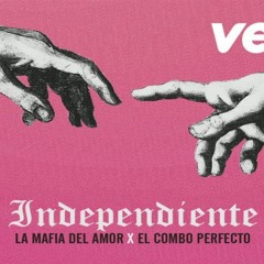 LA MAFIA DEL AMOR · INDEPENDIENTE (INSTRUMENTAL)