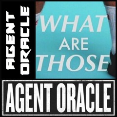 Round2crew Ft. Chris Miles - What Are Those - Agent Oracle Extended Remix