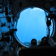 Alex Royers - High Park