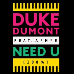 Duke Dumont Feat. A M E - Need U 100 % (David Leo Remix)