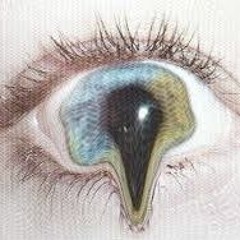 S&D - [WeedXperiment Alrevez] (Experimental-Impro-Weed)