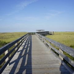 Your Voice In My Heart