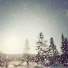 Little Wonders - Original Melon Beats